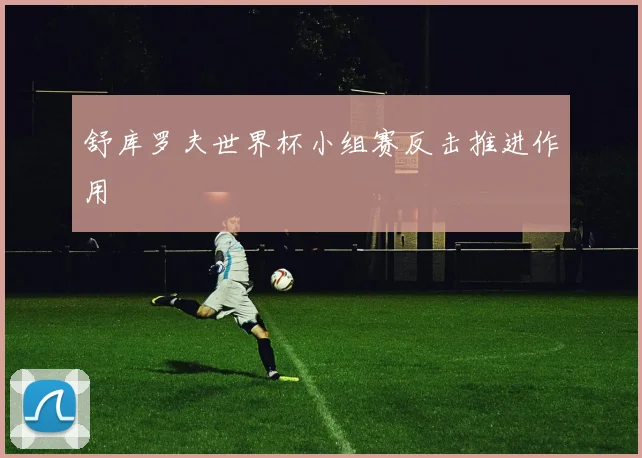 舒库罗夫世界杯小组赛反击推进作用