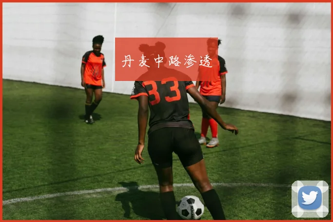 丹麦中路渗透 - 安博体育APP最新版本