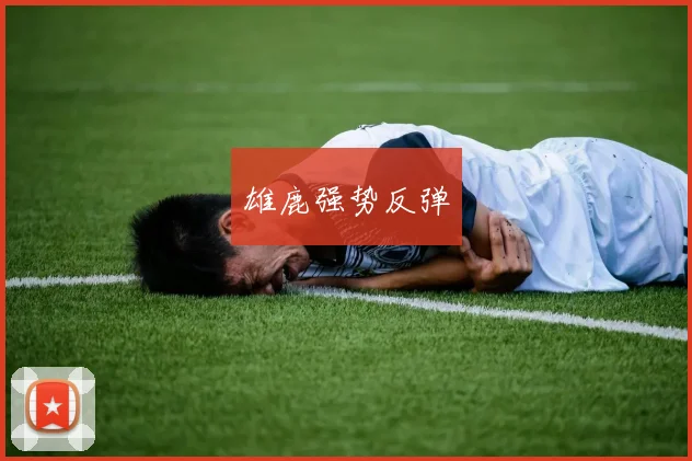 雄鹿强势反弹 - 安博体育APP最新版本
