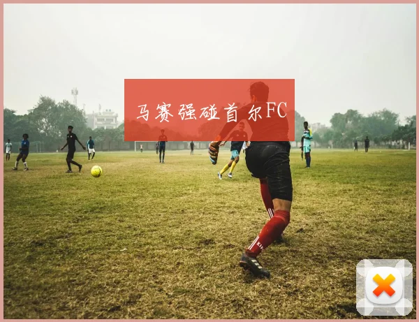 马赛强碰首尔FC - 安博体育APP最新版本