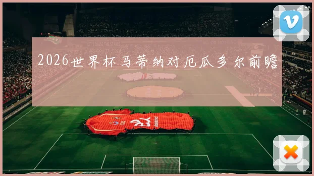 2026世界杯马蒂纳对厄瓜多尔前瞻