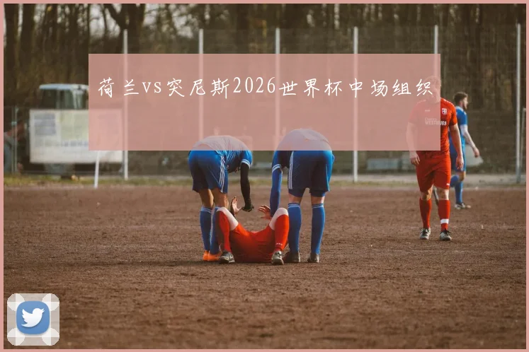 荷兰vs突尼斯2026世界杯中场组织