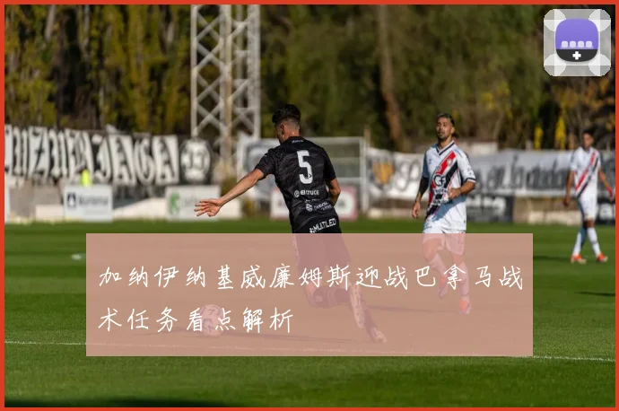 加纳伊纳基威廉姆斯迎战巴拿马战术任务看点解析